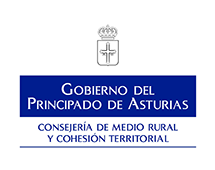 Gobierno del Principado de Asturias